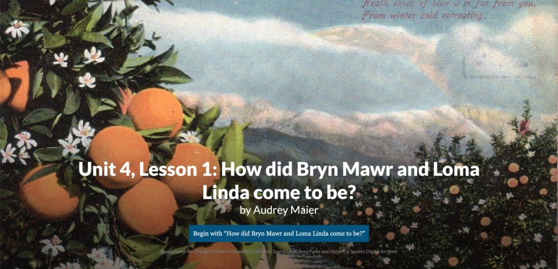 bryn-mawr-history-lesson-plans-sweet-and-sour-citrus